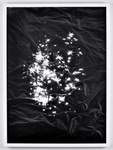 <i>Sunlight</i>, 2012, archival pigment print, 30 x 22 inches, edition of 3 / 2 AP.